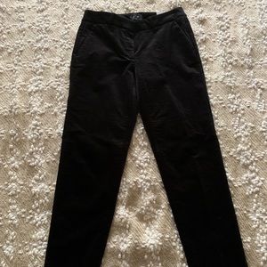 WHBM Petite Slim Velvet Pants